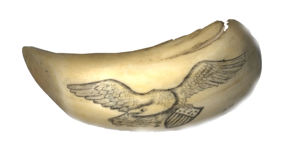Americana Icon - Scrimshaw Eagle