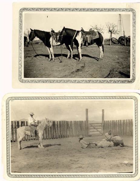 San Antonio, Texas Cattle Ranch Photographs