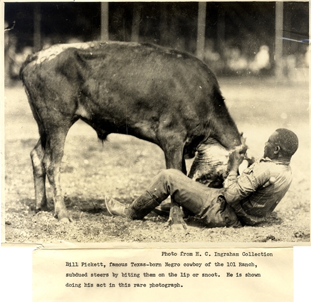 Rare Photograph of  African-American 101 Ranch Cowboy Bill Pickett Performing his Act