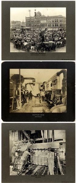 Group of FOUR Cotton Photographs