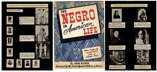 The Negro in American Life