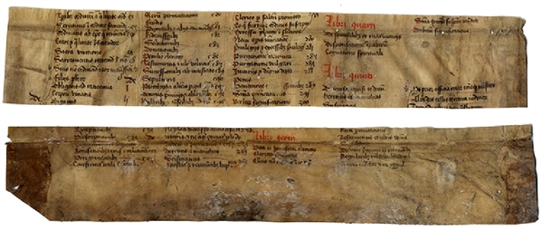 Middle Ages Manuscript