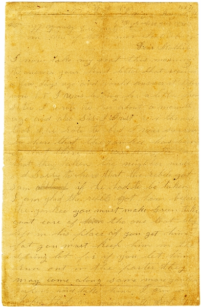 The Georgia Soldier Writes From Petersburg - Later Captured At Petersburg