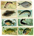 Collectible Tobacco Fish Cards